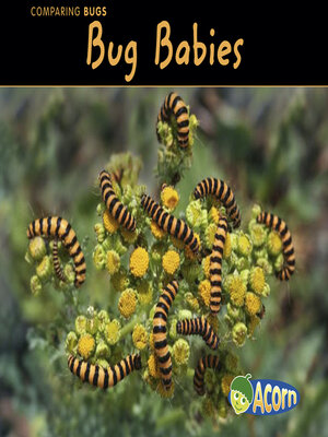 cover image of Bug Babies